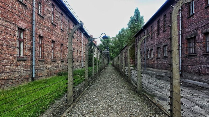 From Warsaw: Auschwitz-Birkenau Guided Tour with Fast Train - The Sum Up: Who Will Benefit Most?