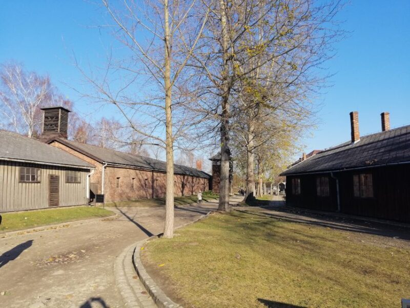 From Warsaw: Auschwitz-Birkenau Tour by Car - A Deep Dive into the Auschwitz-Birkenau Day Trip