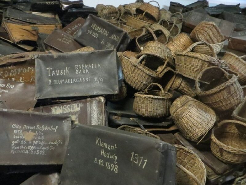 From Warsaw: Shared guided tour to Auschwitz-Birkenau - Introduction: A Day to Remember