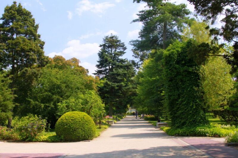 From Warsaw: Tour to Chopin's Birthplace - elazowa Wola - Breakdown of the Itinerary