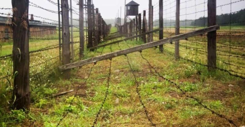 From Warsaw: Tour to Majdanek Concentration Camp and Lublin - Why This Tour Represents Great Value