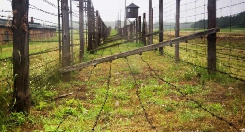 From Warsaw: Tour to Majdanek Concentration Camp and Lublin - FAQs