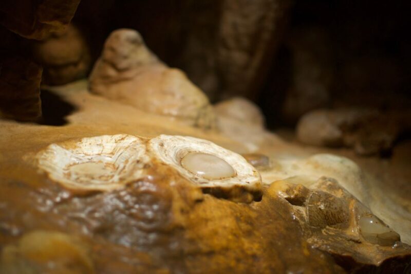From Washington DC: Day Trip to Luray Caverns - Who Will Love This Tour?