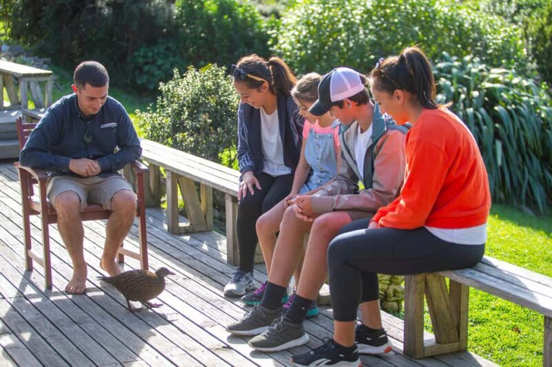 From Wellington: Kapiti Island Classic Guided Day Tour - From Wellington: Kapiti Island Classic Guided Day Tour