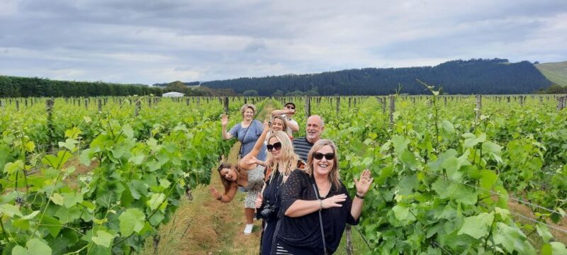 From Wellington: Martinborough Winery Tour - The Experience: Scenery, Tastings, and Stories