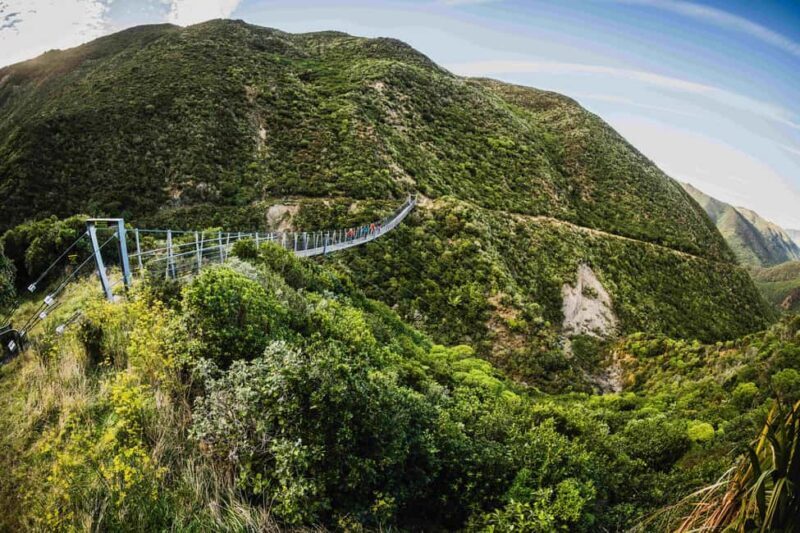 From Wellington: Remutaka Rail Trail eBike Tour - Key Points
