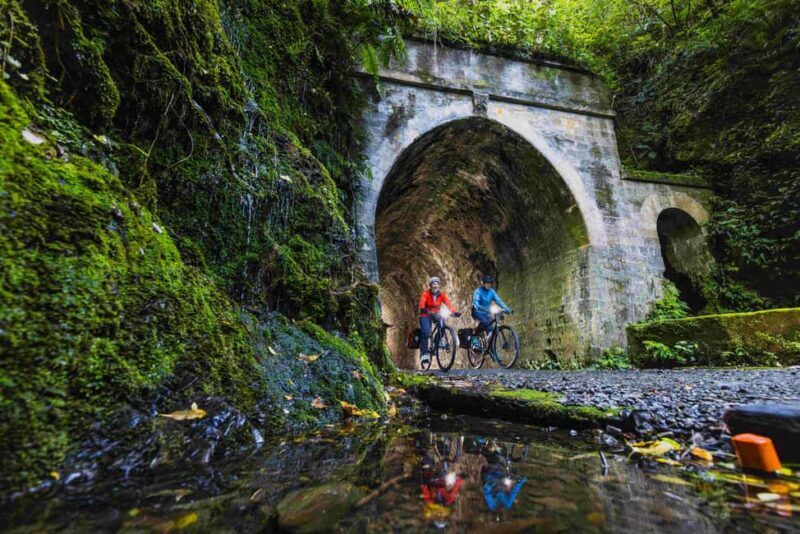 From Wellington: Remutaka Rail Trail eBike Tour - In-Depth Review of the Remutaka Rail Trail eBike Tour