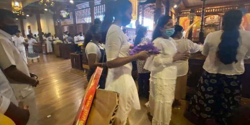 From west coast: Kandy, Pinnawala, Botanical & Tea gardens - Final Thoughts