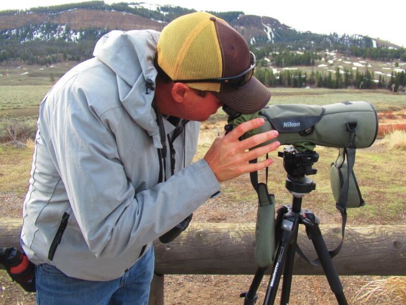 From West Yellowstone: Lamar Valley Wildlife Tour by Van - FAQ