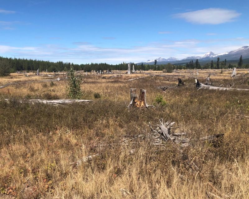 From Whitefish: West Glacier & Polebridge Day Tour - FAQ