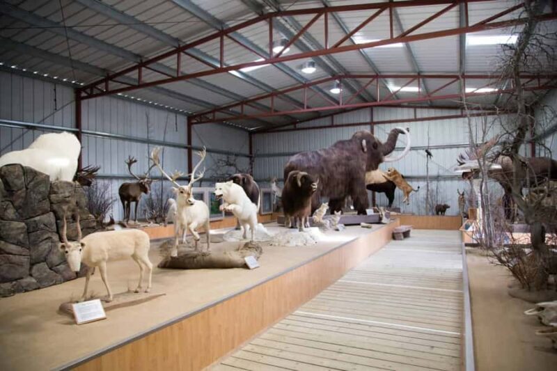 From Whitehorse: Klondike Gold Rush Tour incl. Emerald Lake - Who Will Love This Tour?