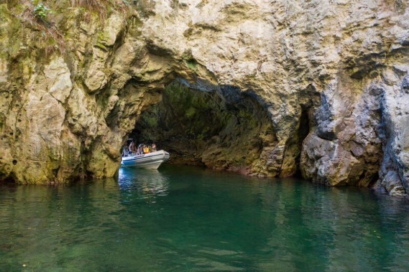 From Whitianga: Cathedral Cove Cruise with Snorkeling - Who Will Love This Tour?