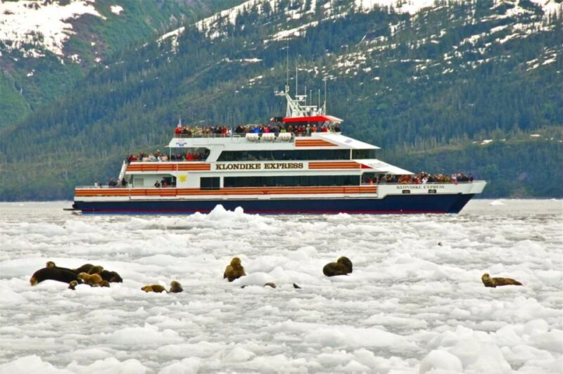 From Whittier/Anchorage: Prince William Sound Glacier Cruise - Starting Point: Whittier’s Gateway to Wilderness