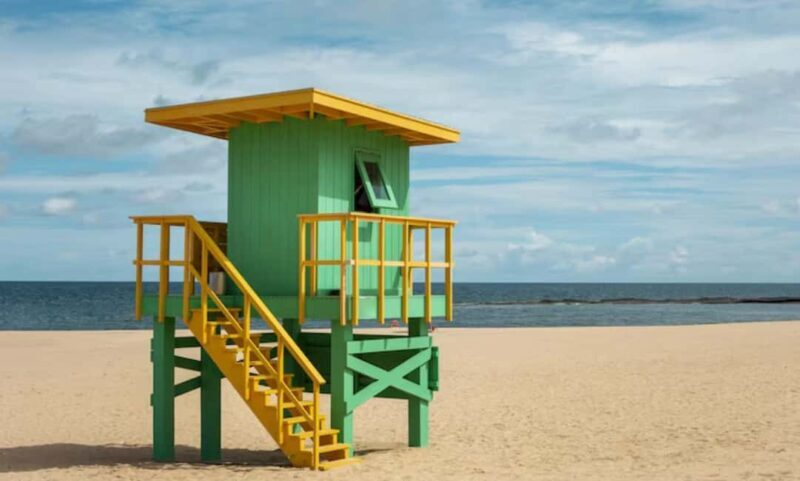 From Windsor: 2-Day Phillip Island & Wilsons Promontory Tour - From Windsor: 2-Day Phillip Island & Wilsons Promontory Tour