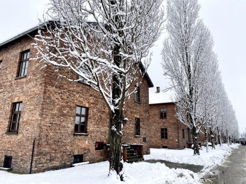 From Wrocaw: Full-Day Auschwitz-Birkenau Guided Tour - FAQs