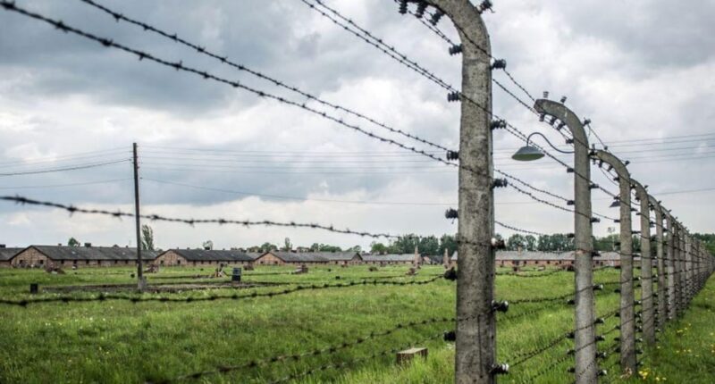 From Wroclaw: Guided Tour to Auschwitz-Birkenau and Krakow - The Value of This Experience