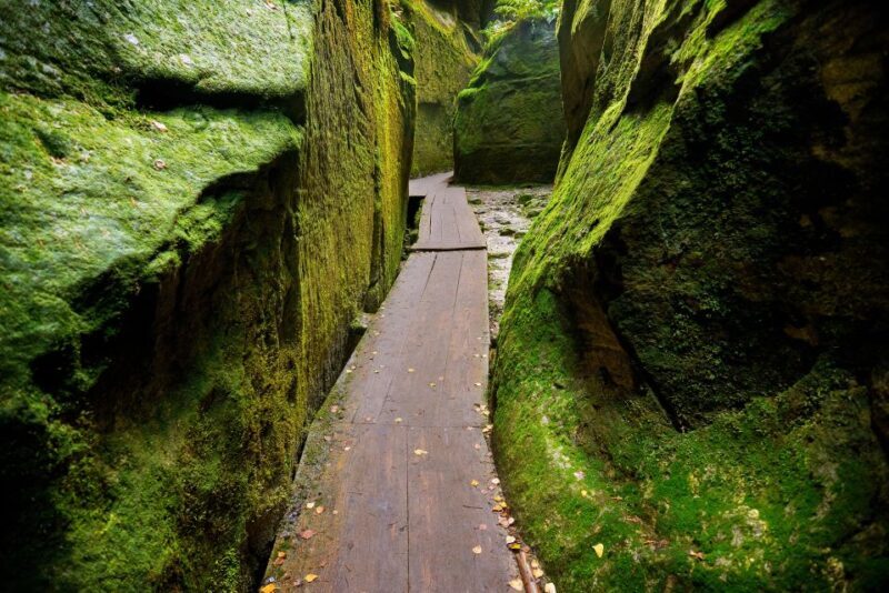 From Wroclaw: Hiking Trail in Rock City Adrspach - Who Should Consider This Tour?