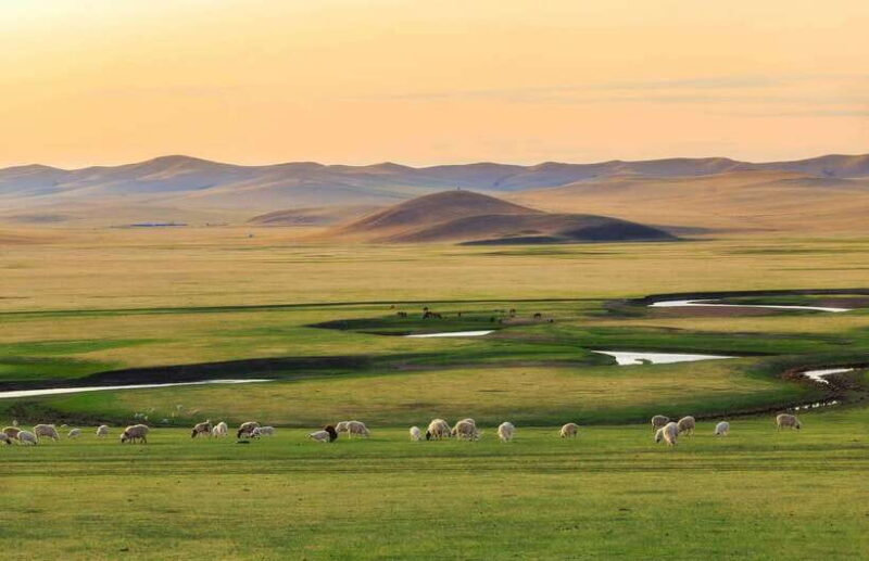 From Xilinhot: 4-Day Xanadu Grassland Tour with Herdsman - A Closer Look at the 4-Day Xanadu Grassland Tour