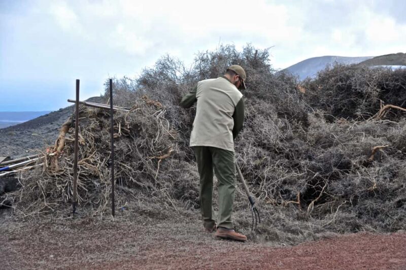 From Yaiza: Timanfaya Express Tour with No Queues - The Details of the Timanfaya Express Tour