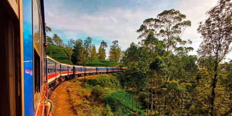 From Yala / Tissa - Day Trip to Experience Ella Peaks - The Sum Up