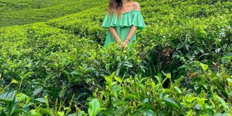 From Yala / Tissa - Day Trip to Experience Ella Peaks - FAQ