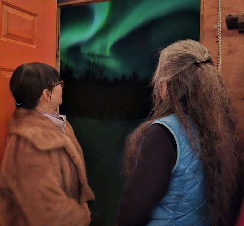 From Yellowknife: Aurora Borealis Tour with Cozy Cabin Base - Who Will Enjoy This Tour?