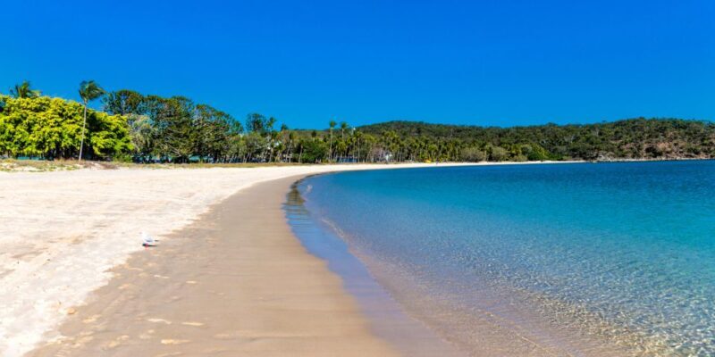 From Yeppoon: Great Keppel Island Snorkeling Hire with Lunch - Authentic Feedback from Travelers