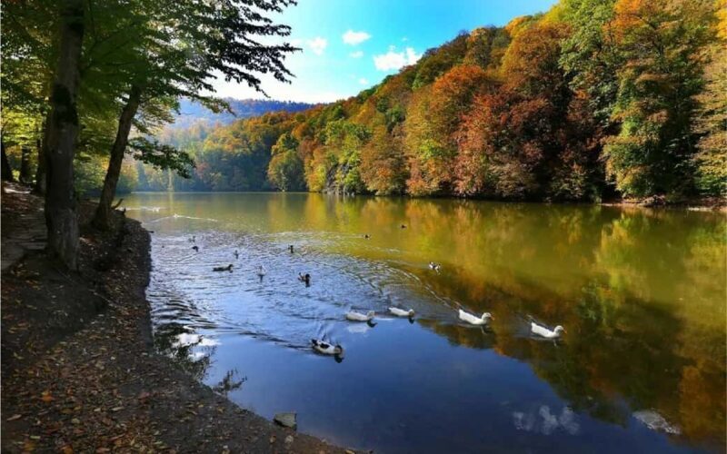 From Yerevan: Off-Road and Horseback Riding Adventure Tour - Lake Parz and Additional Activities