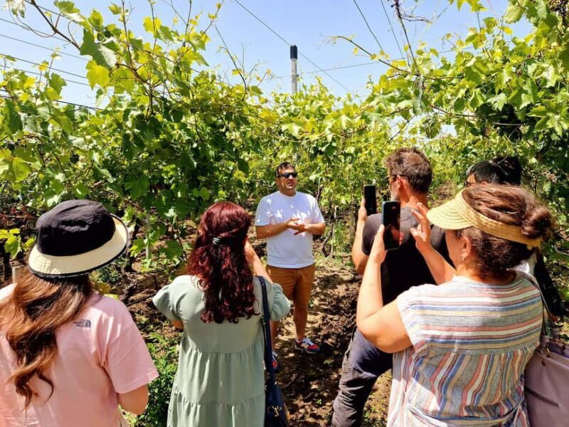 From Yerevan: Winery Tour with Wine Tasting and Dinner - A Detailed Look at the Armenia Wine Tour