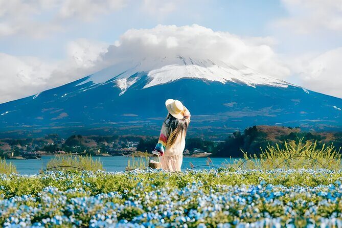 From Yokohama Port Arakurayama & G. Outlets 10 Hour Private Tour - Exploring the Highlights of the Yokohama Private Tour