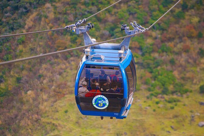 From Yokohama Port Hakone Ropeway & Lake Ashi 10Hour Private Tour - Who Would Enjoy This Tour?