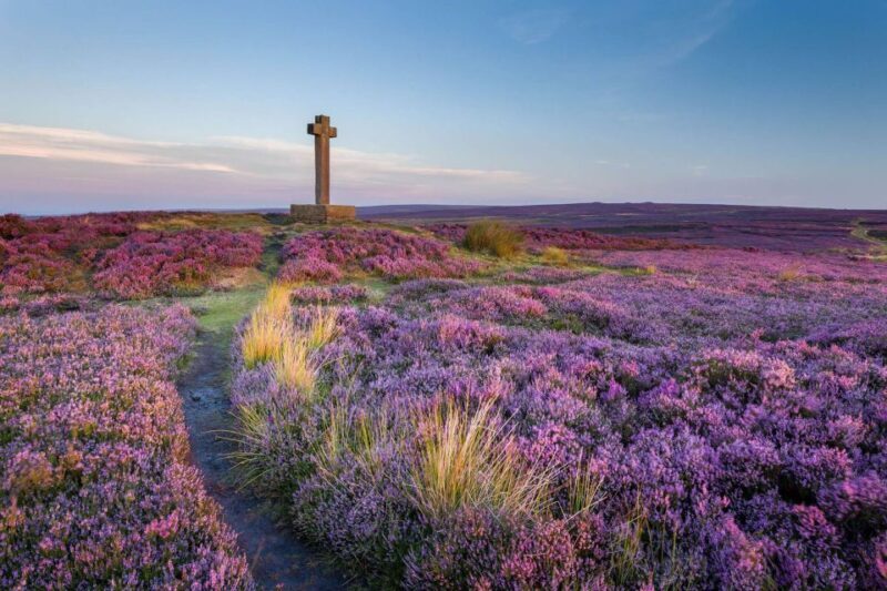 From York: Day Trip to Whitby and The North York Moors - Why This Tour Offers Great Value