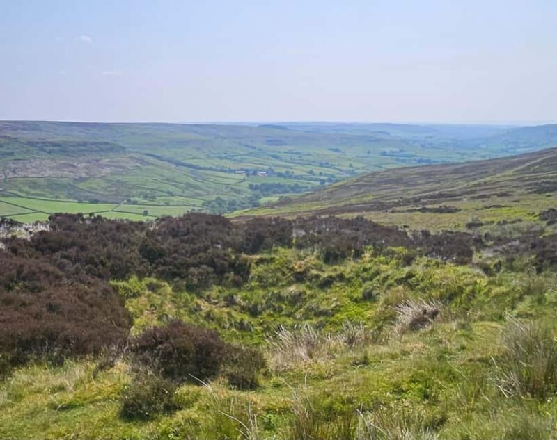 From York: North Yorkshire Moors, Steam Train and Whitby - The Itinerary and What Makes It Special