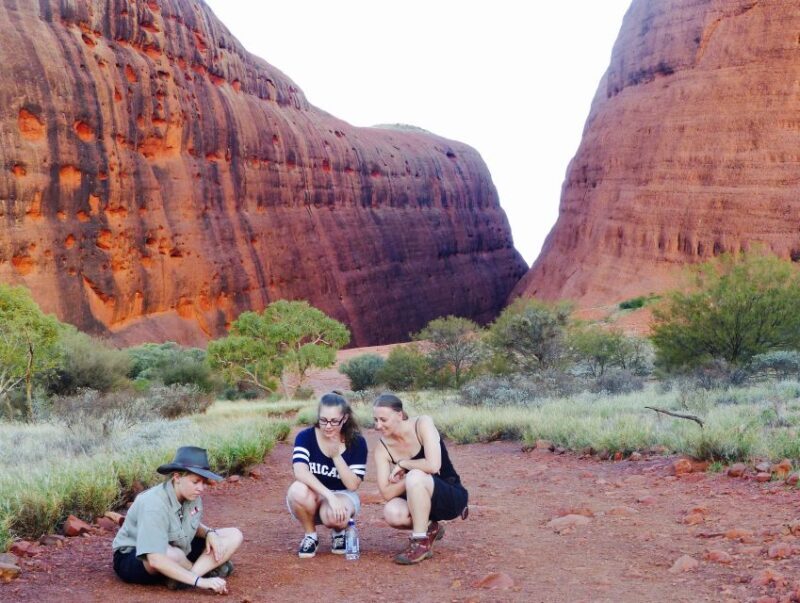 From Yulara: 3-Hour Small Group Kata Tjuta Afternoon Tour - The Itinerary: What to Expect on the Tour