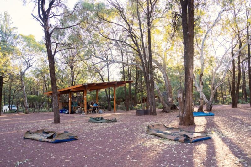 From Yulara: 7-Day Uluru to Adelaide Tour - The Sum Up
