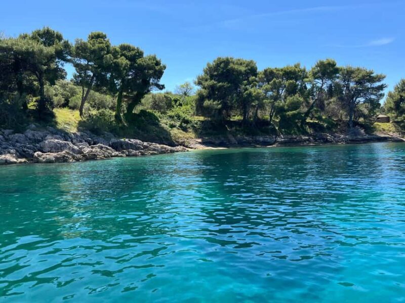 From Zadar: 3 magical stops with a cold drink - Why This Tour Offers Good Value