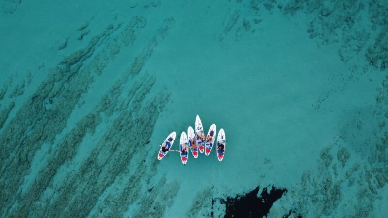 From Zadar: Full Day Dugi Otok Guided Paddle Board Tour - What to Expect: A Day Packed with Highlights