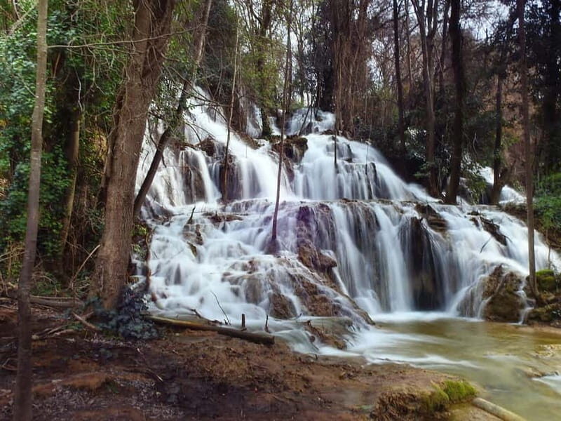 From Zadar: Krka National Park Full-Day Tour from Zadar - The Practical Side: What’s Included and What’s Not