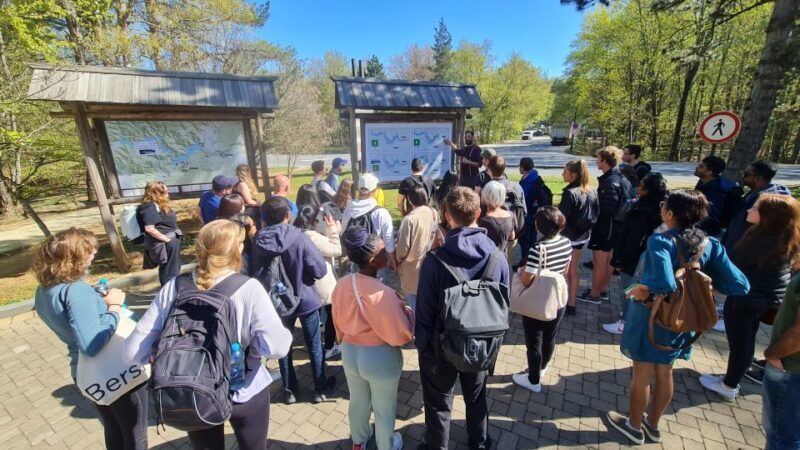 From Zadar: Krka Waterfalls Tour with Panoramic Boat Ride - A Detailed Look at the Krka Waterfalls Tour from Zadar