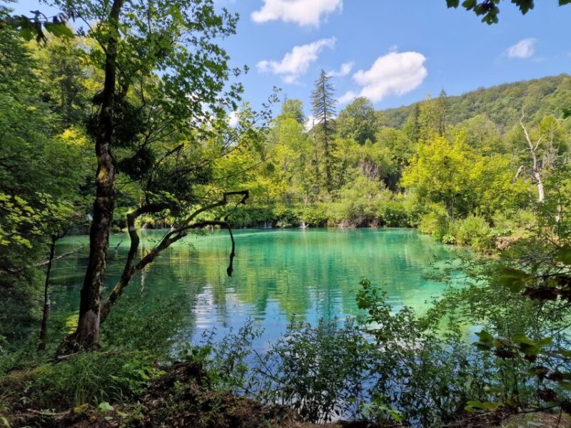 From Zadar: Krka Waterfalls Tour with Panoramic Boat Ride - Final Thoughts