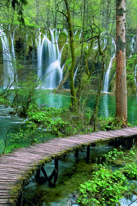 From Zadar: Plitvice Lakes Day Tour - The Value and Practicality