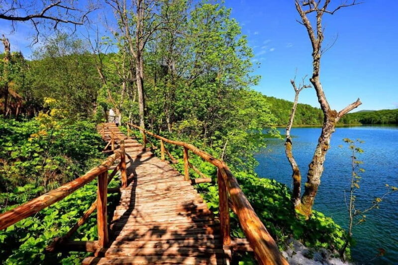 From Zadar: Plitvice Lakes Guided Tour - Key Points