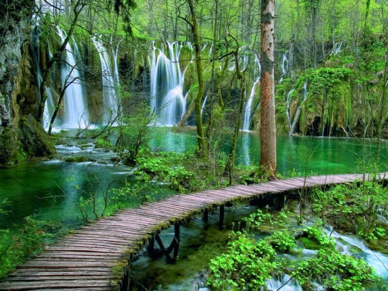 From Zadar: Plitvice Lakes National Park Tour - Practical Details and Considerations