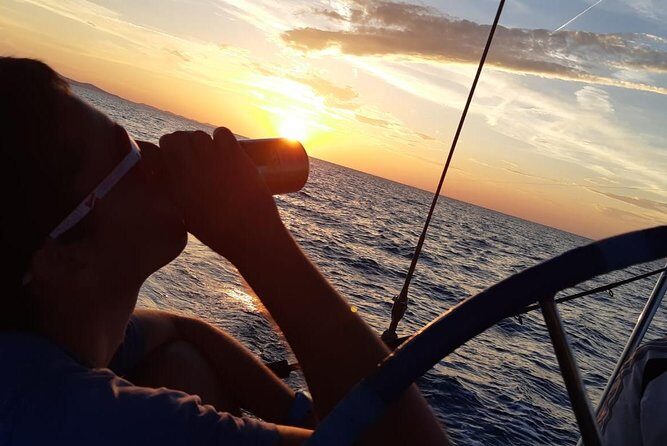 From Zadar: Private sunset sailing tour - Key Points