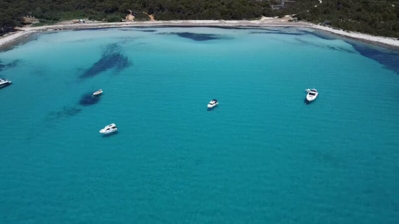 From Zadar: Sakarun Beach Private Speed Boat Tour - Key Points