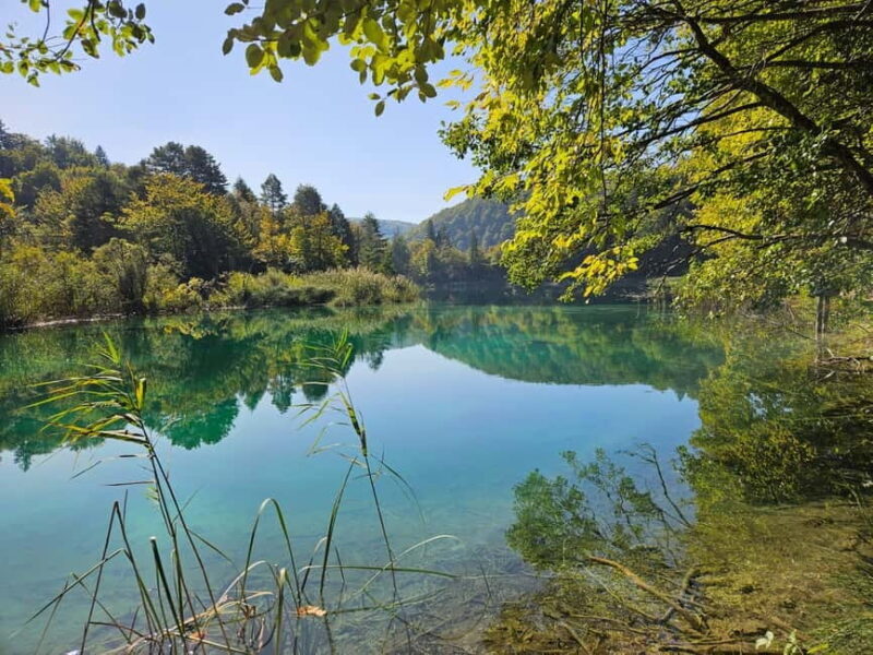 From Zadar: Scenic Private Tour of Plitvice Lakes - Key Points