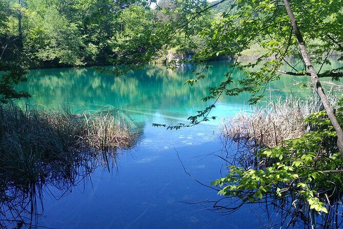 From Zadar to Plitvice Lakes, Afternoon tour, Ticket Included - The Sum Up