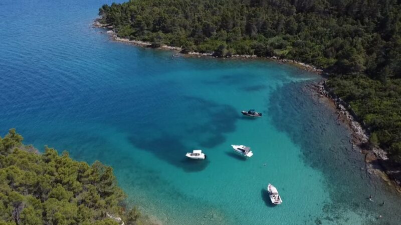 From Zadar: Ugljan, Galevac and Oljak Islands Boat Tour - Final Thoughts: Is This Tour Worth It?