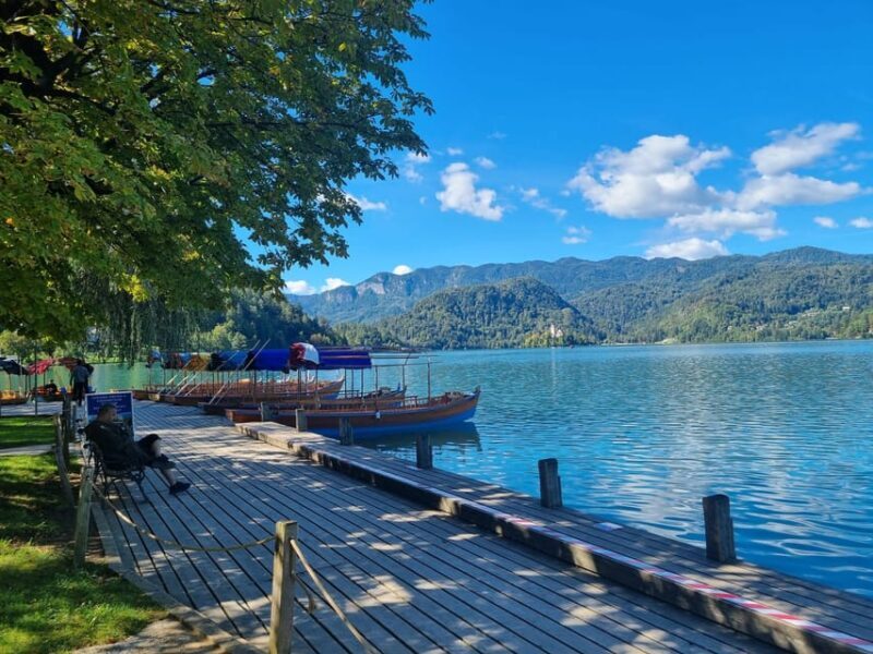 From Zagreb: Exclusive private Day Tour to Bled & Ljubljana - Authentic Experiences and Guest Feedback
