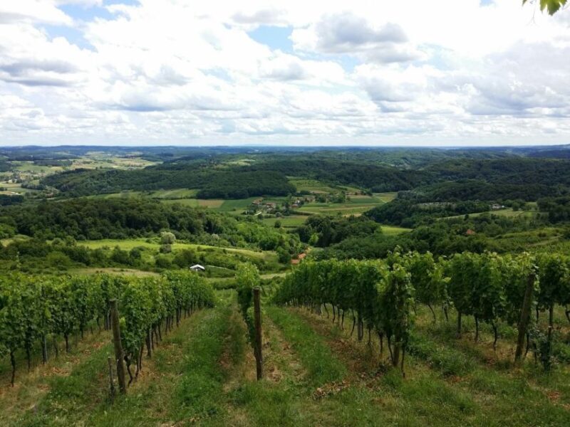 From Zagreb: Fairytale Castle & Wine Tasting & Lunch - Key Points